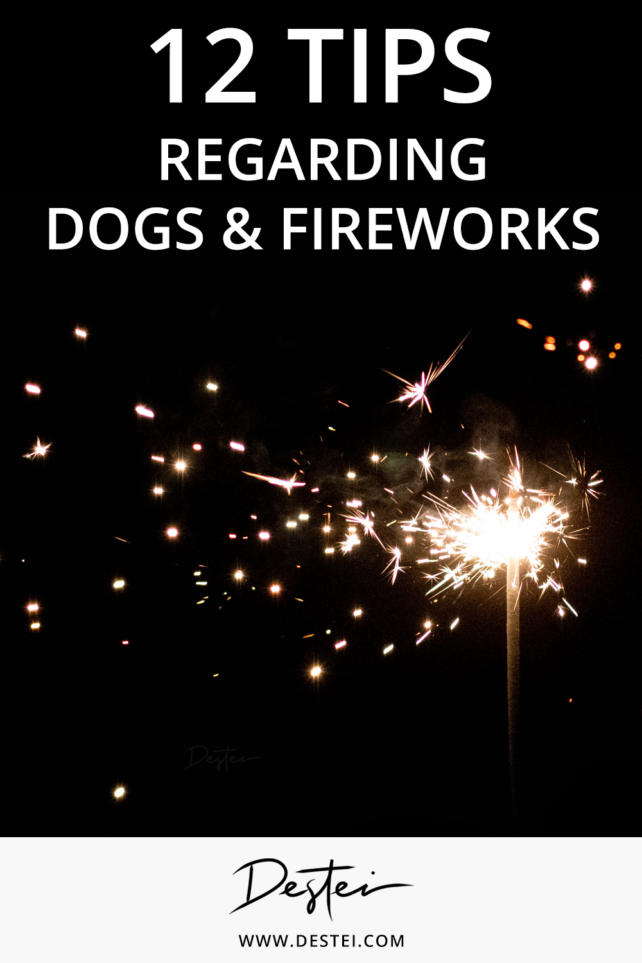 12 Tips Regarding Dogs And Fireworks | Destei – Designs By Destei