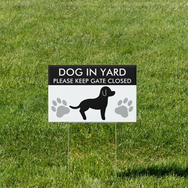 Dog In Yard